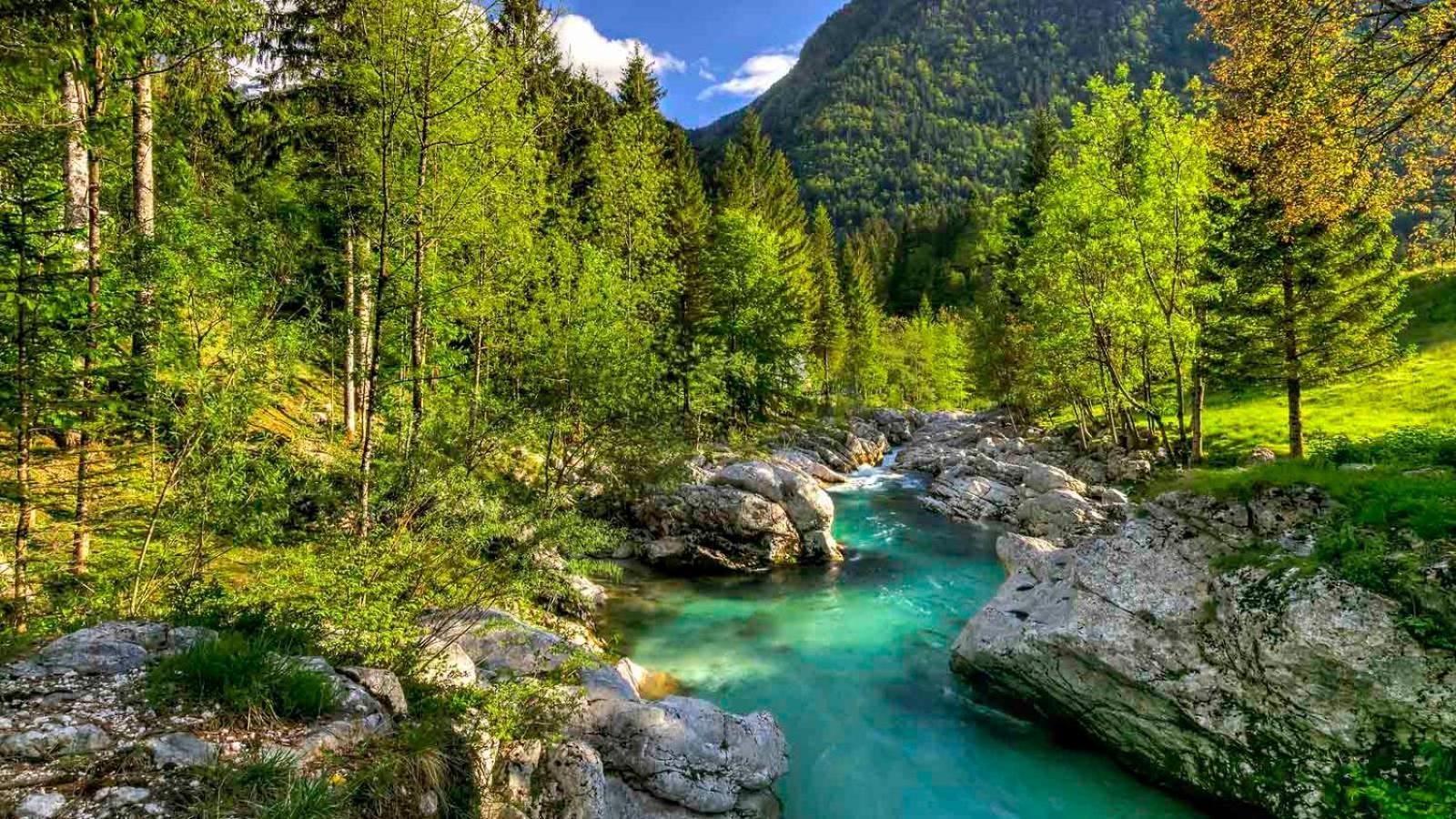 Apartma Gaja Kranjska Gora Bagian luar foto
